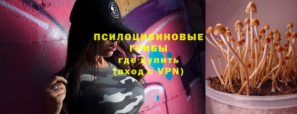 прущие грибы Беломорск