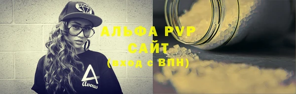 прущие грибы Беломорск