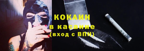 прущие грибы Беломорск