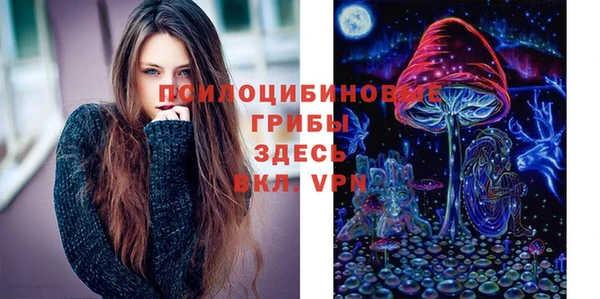 прущие грибы Беломорск